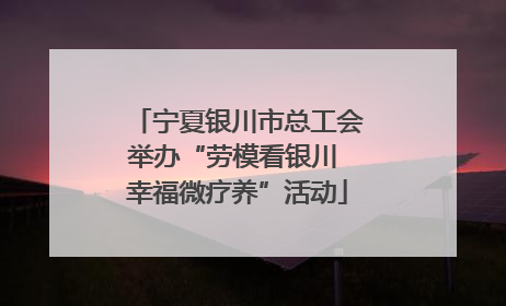 宁夏银川市总工会举办“劳模看银川 幸福微疗养”活动