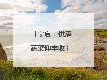 宁夏：供港蔬菜迎丰收
