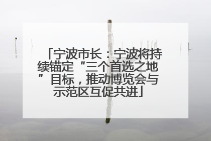 宁波市长：宁波将持续锚定“三个首选之地”目标，推动博览会与示范区互促共进