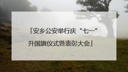 安乡公安举行庆“七一”升国旗仪式暨表彰大会