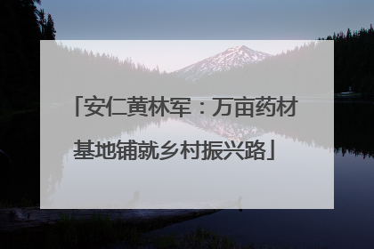 安仁黄林军：万亩药材基地铺就乡村振兴路