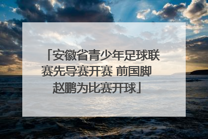 安徽省青少年足球联赛先导赛开赛 前国脚赵鹏为比赛开球