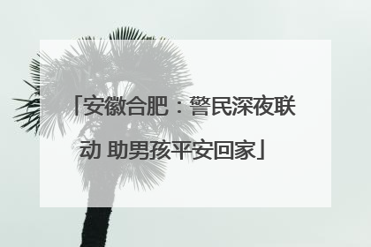 安徽合肥：警民深夜联动 助男孩平安回家