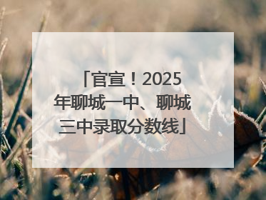 官宣！2025年聊城一中、聊城三中录取分数线