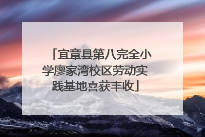 宜章县第八完全小学廖家湾校区劳动实践基地喜获丰收
