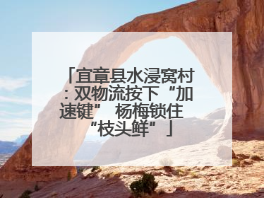 宜章县水浸窝村：双物流按下“加速键” 杨梅锁住“枝头鲜”