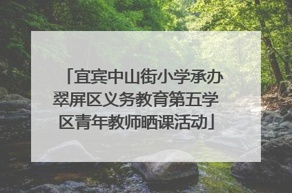 宜宾中山街小学承办翠屏区义务教育第五学区青年教师晒课活动