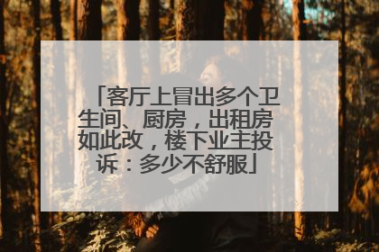 客厅上冒出多个卫生间、厨房，出租房如此改，楼下业主投诉：多少不舒服