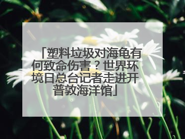 塑料垃圾对海龟有何致命伤害？世界环境日总台记者走进开普敦海洋馆