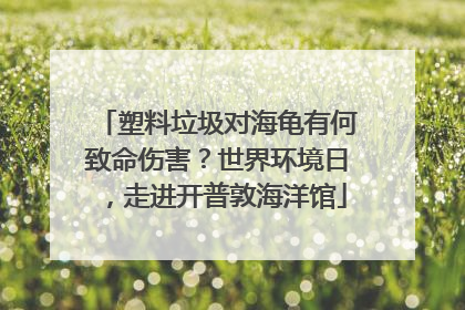 塑料垃圾对海龟有何致命伤害？世界环境日，走进开普敦海洋馆