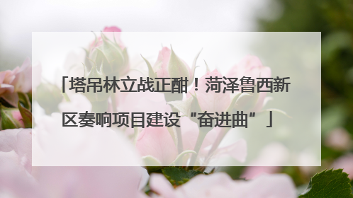 塔吊林立战正酣！菏泽鲁西新区奏响项目建设“奋进曲”