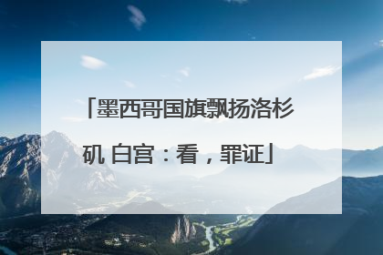 墨西哥国旗飘扬洛杉矶 白宫：看，罪证