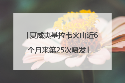 夏威夷基拉韦火山近6个月来第25次喷发