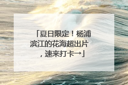 夏日限定！杨浦滨江的花海超出片，速来打卡→