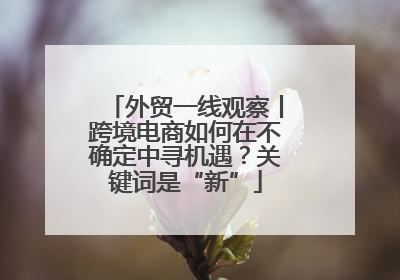 外贸一线观察丨跨境电商如何在不确定中寻机遇？关键词是“新”
