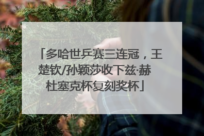 多哈世乒赛三连冠，王楚钦/孙颖莎收下兹·赫杜塞克杯复刻奖杯