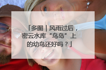 多图｜风雨过后，密云水库“鸟岛”上的幼鸟还好吗？
