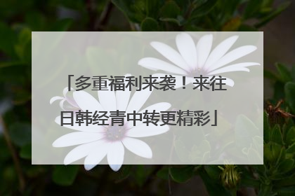 多重福利来袭！来往日韩经青中转更精彩