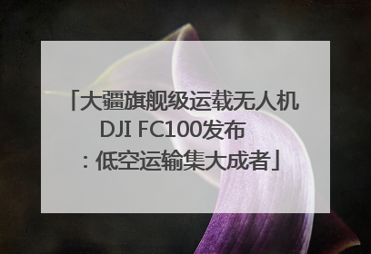 大疆旗舰级运载无人机DJI FC100发布：低空运输集大成者