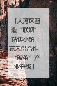 大湾区智造“联姻”精铸小镇 嘉禾借合作“破茧”产业升级