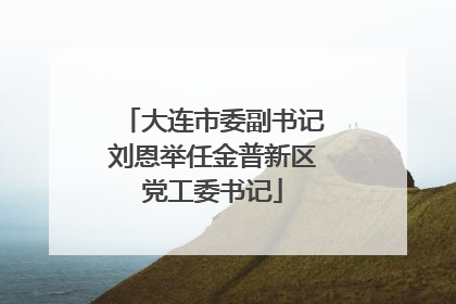 大连市委副书记刘恩举任金普新区党工委书记