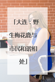大连：野生梅花鹿与市民和谐相处