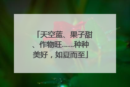 天空蓝、果子甜、作物旺……种种美好，如夏而至