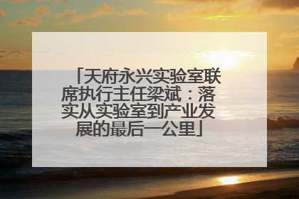 天府永兴实验室联席执行主任梁斌：落实从实验室到产业发展的最后一公里