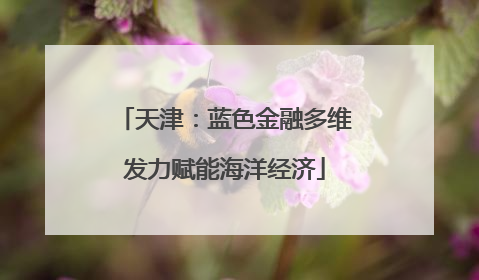 天津：蓝色金融多维发力赋能海洋经济