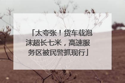 太夸张！货车载泡沫超长七米，高速服务区被民警抓现行