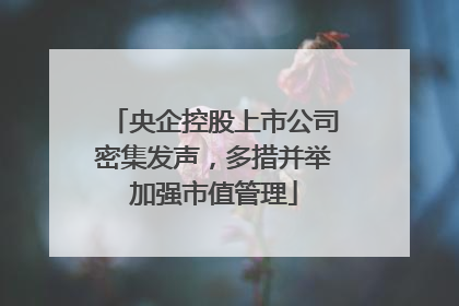 央企控股上市公司密集发声，多措并举加强市值管理