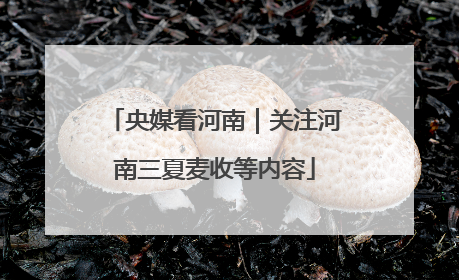 央媒看河南｜关注河南三夏麦收等内容