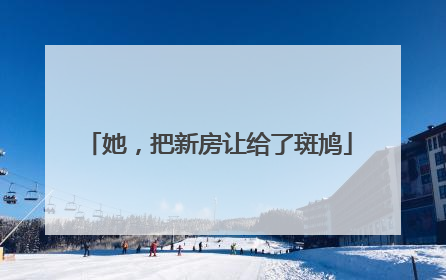 她，把新房让给了斑鸠