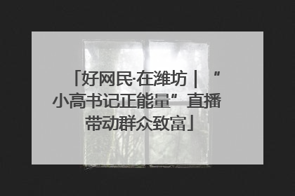 好网民·在潍坊｜“小高书记正能量”直播 带动群众致富