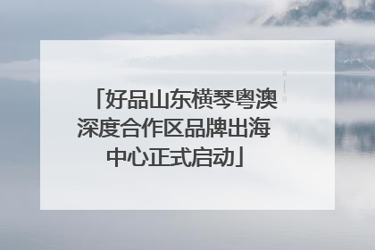 好品山东横琴粤澳深度合作区品牌出海中心正式启动