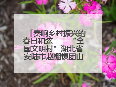 奏响乡村振兴的春日和弦——“全国文明村”湖北省安陆市赵棚镇团山村农文旅融合发展见闻