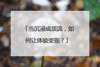 当沉浸成顶流，如何让体验变现？