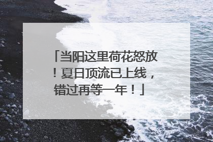 当阳这里荷花怒放！夏日顶流已上线，错过再等一年！