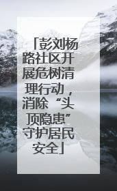彭刘杨路社区开展危树清理行动，消除“头顶隐患”守护居民安全