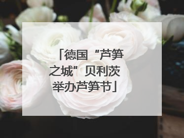 德国“芦笋之城”贝利茨举办芦笋节