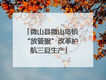 微山县微山岛镇“放管服”改革护航三夏生产