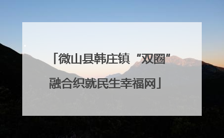 微山县韩庄镇“双圈”融合织就民生幸福网