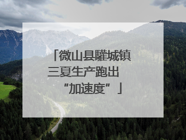 微山县驩城镇三夏生产跑出 “加速度”
