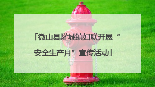 微山县驩城镇妇联开展“安全生产月”宣传活动