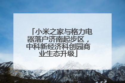 小米之家与格力电器落户济南起步区，中科新经济科创园商业生态升级