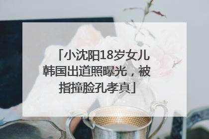 小沈阳18岁女儿韩国出道照曝光，被指撞脸孔孝真