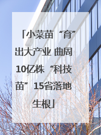 小菜苗“育”出大产业 曲周10亿株“科技苗”15省落地生根