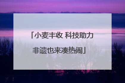 小麦丰收 科技助力 非遗也来凑热闹