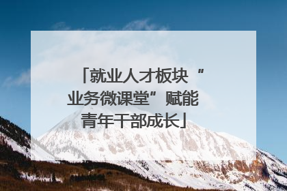 就业人才板块“业务微课堂”赋能青年干部成长