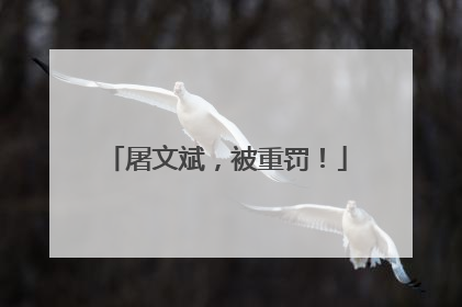 屠文斌，被重罚！